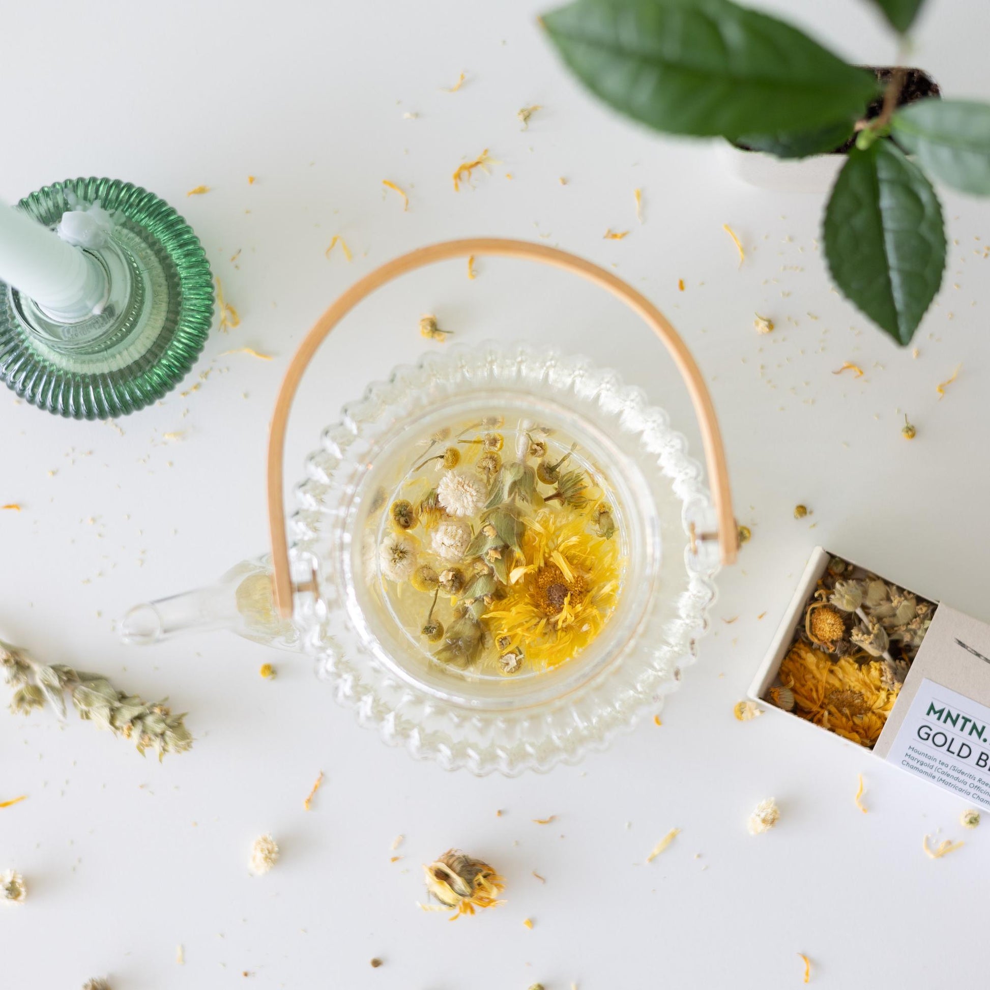 Teepause -  Gold Blend Tee und Teebaumschnitt - Botanic-Vibes
