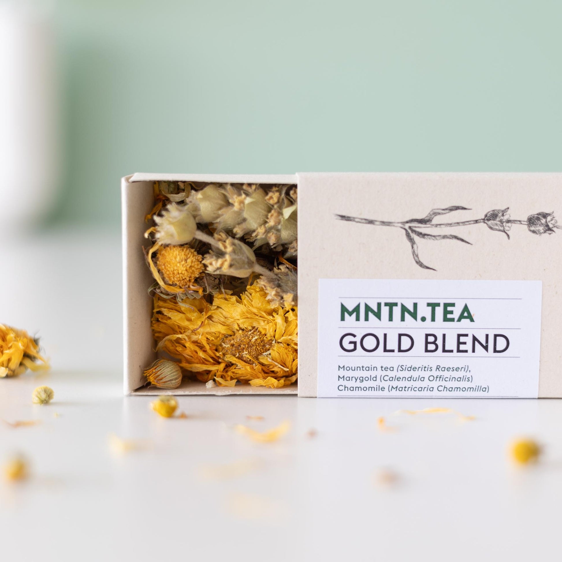 Teepause -  Gold Blend Tee und Teebaumschnitt - Botanic-Vibes