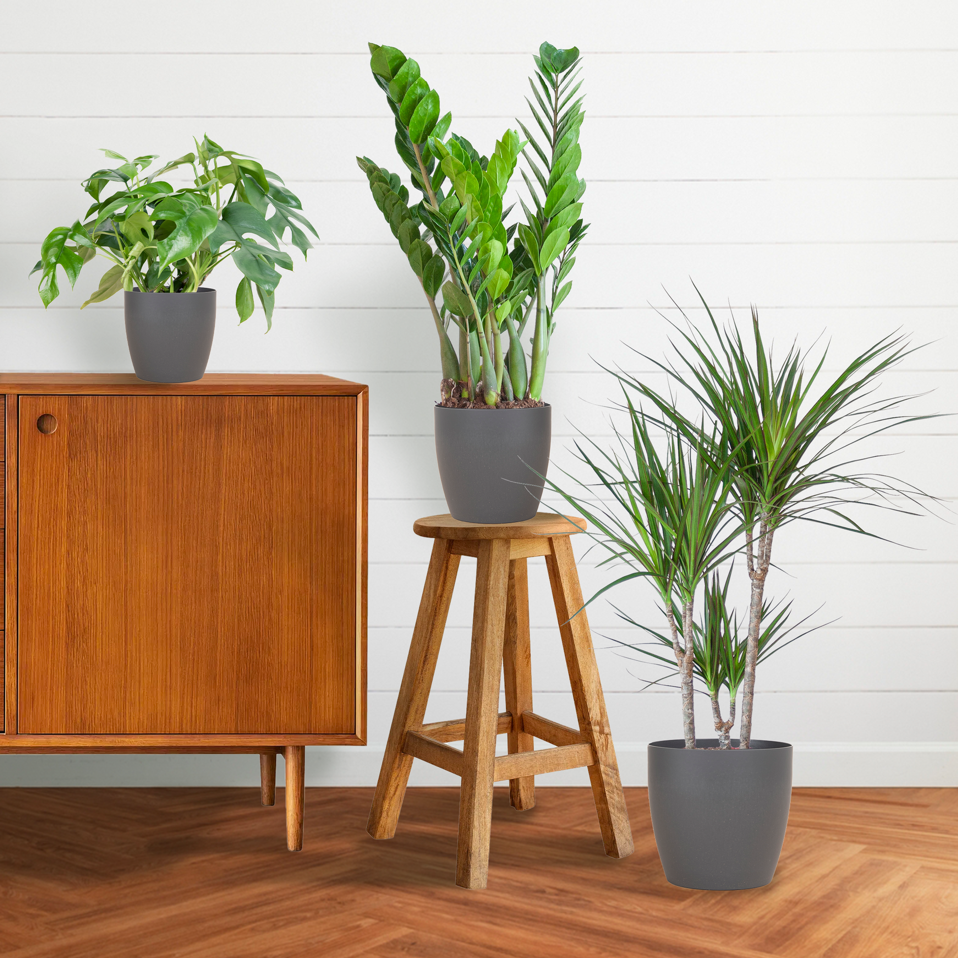 Shade Plant Box – medium – mit Vibers-Topf grau - Botanic-Vibes