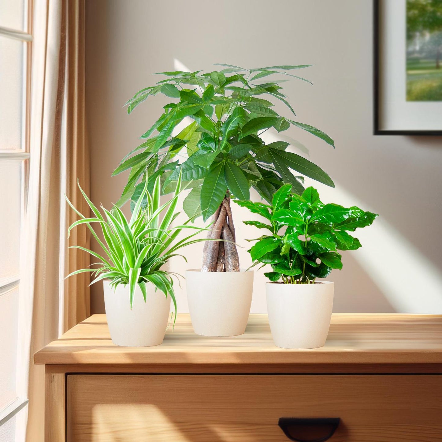 Tierfreundliche Pflanzbox - klein - mit topf Viber White - Ø12 - Botanic-Vibes