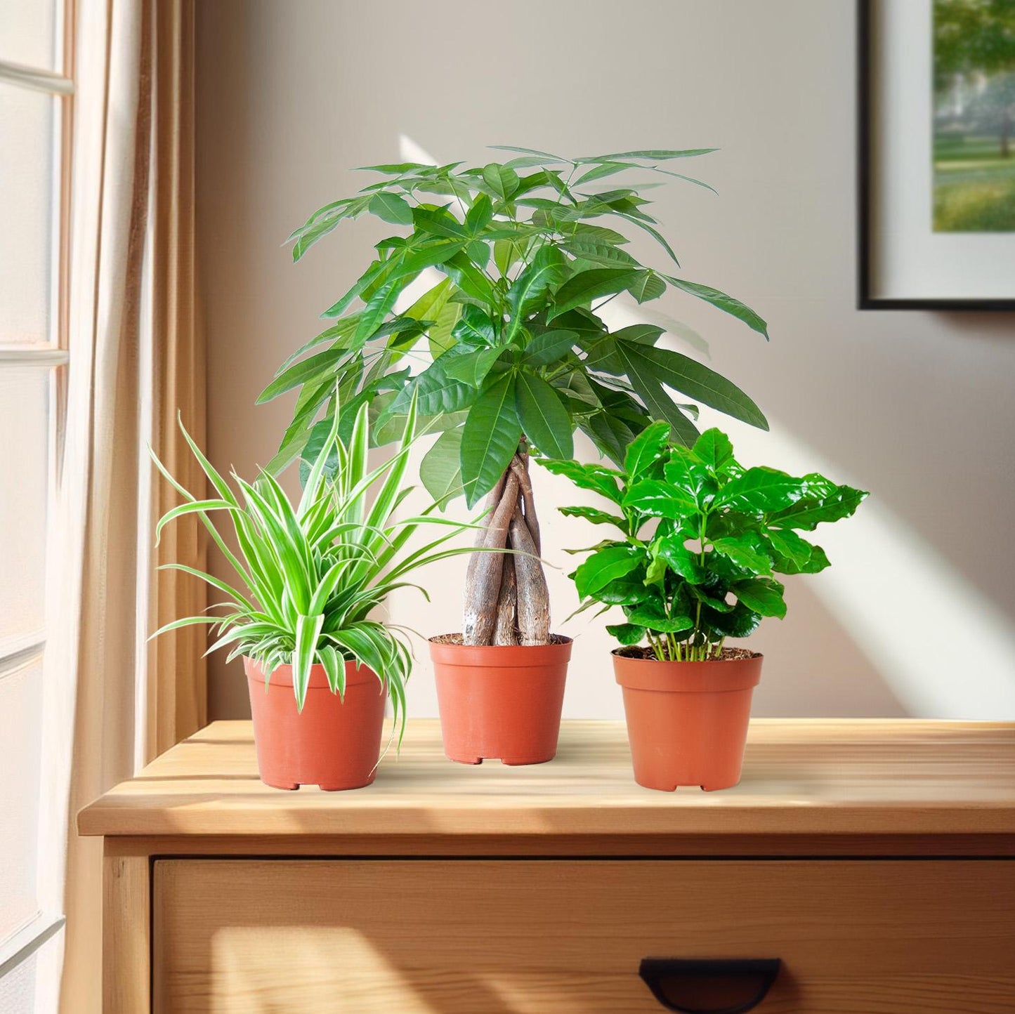 Tierfreundliche Plant Box - klein - ohne Dekotopf - Ø12 - Botanic-Vibes