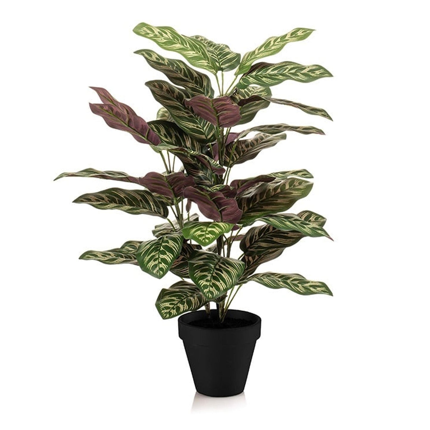 Calathea in pot - 65 cm hoog - Kunstplant - Botanic-Vibes