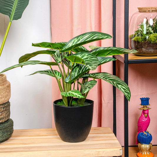 Calathea Zebrina in zwarte pot - 42 cm hoog - Kunstplant - Botanic-Vibes