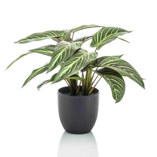 Calathea Zebrina in zwarte pot - 42 cm hoog - Kunstplant - Botanic-Vibes