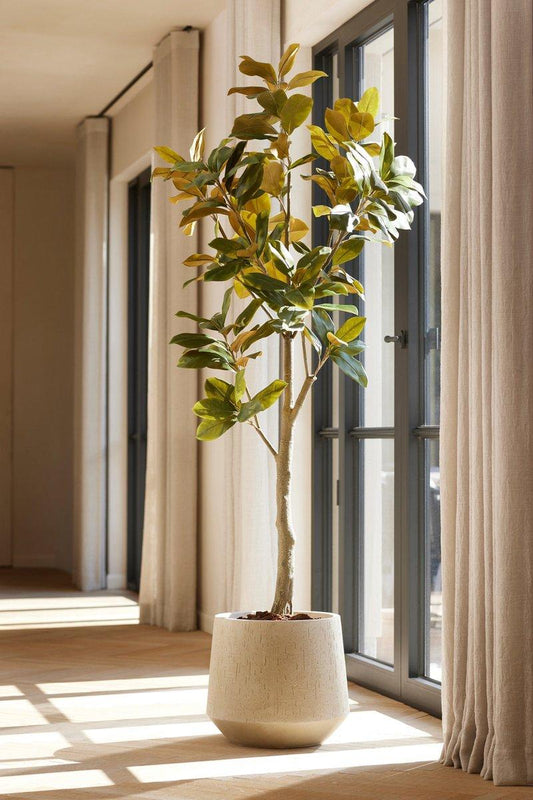 Magnolia Denudata - 150 cm - Kunstboom - Kunstplant - Botanic-Vibes