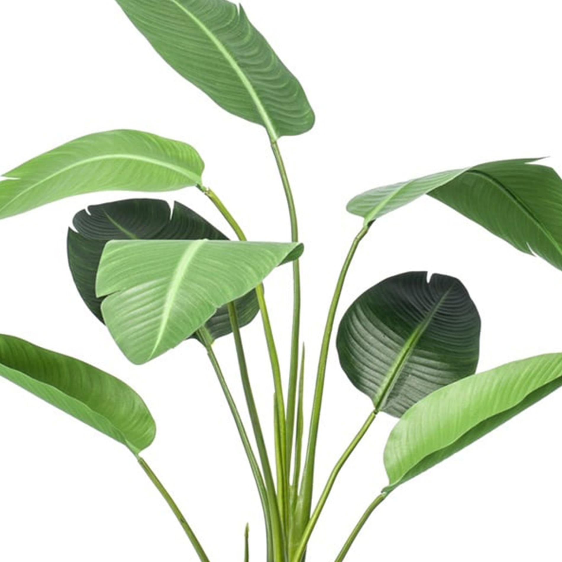 Strelitzia - 120cm - In zwarte pot - Kunstplant - Botanic-Vibes