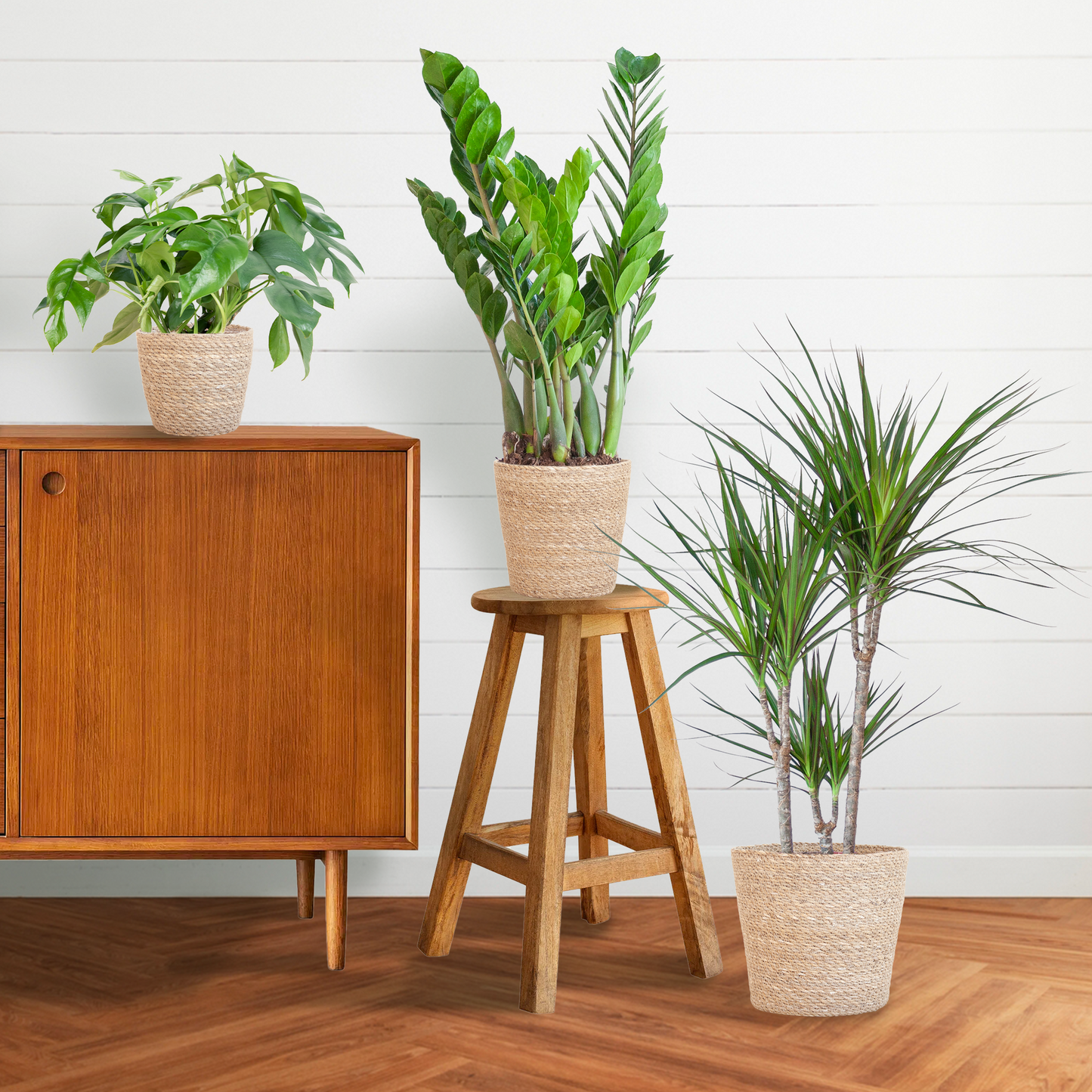 Schattenpflanzkasten - medium - mit Korb Sofia - Botanic-Vibes