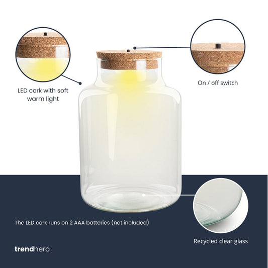 Terrarium fles met kurk - Little Milky met led kurk - Gesloten groot terrarium ↑ 24.5 cm - Botanic-Vibes