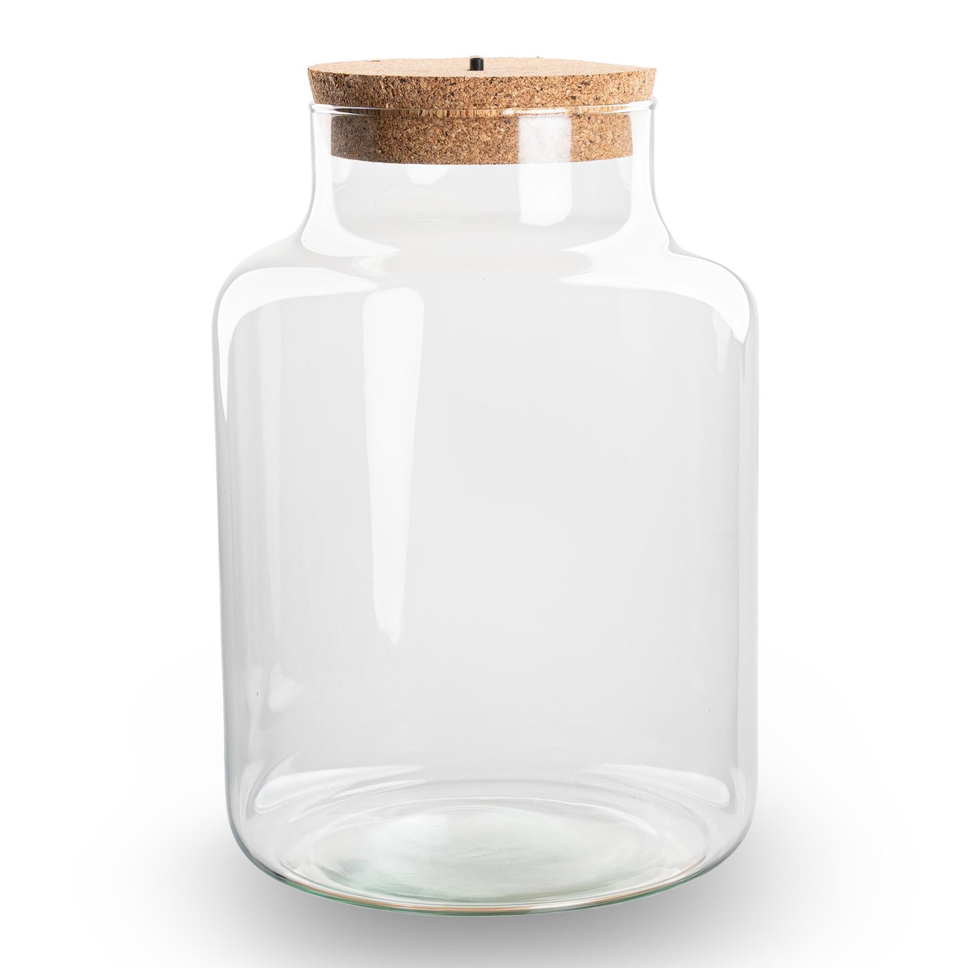Terrarium fles met kurk - Little Milky met led kurk - Gesloten groot terrarium ↑ 24.5 cm - Botanic-Vibes