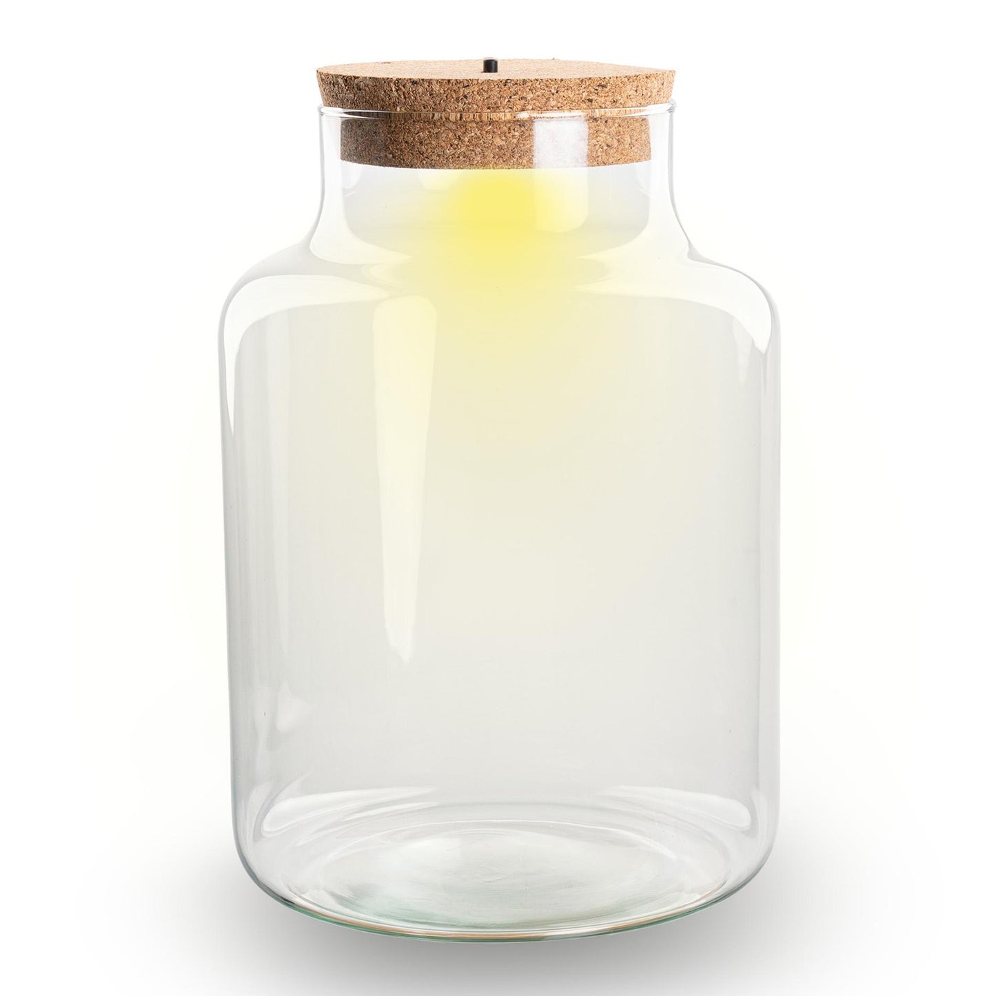 Terrarium fles met kurk - Little Milky met led kurk - Gesloten groot terrarium ↑ 24.5 cm - Botanic-Vibes