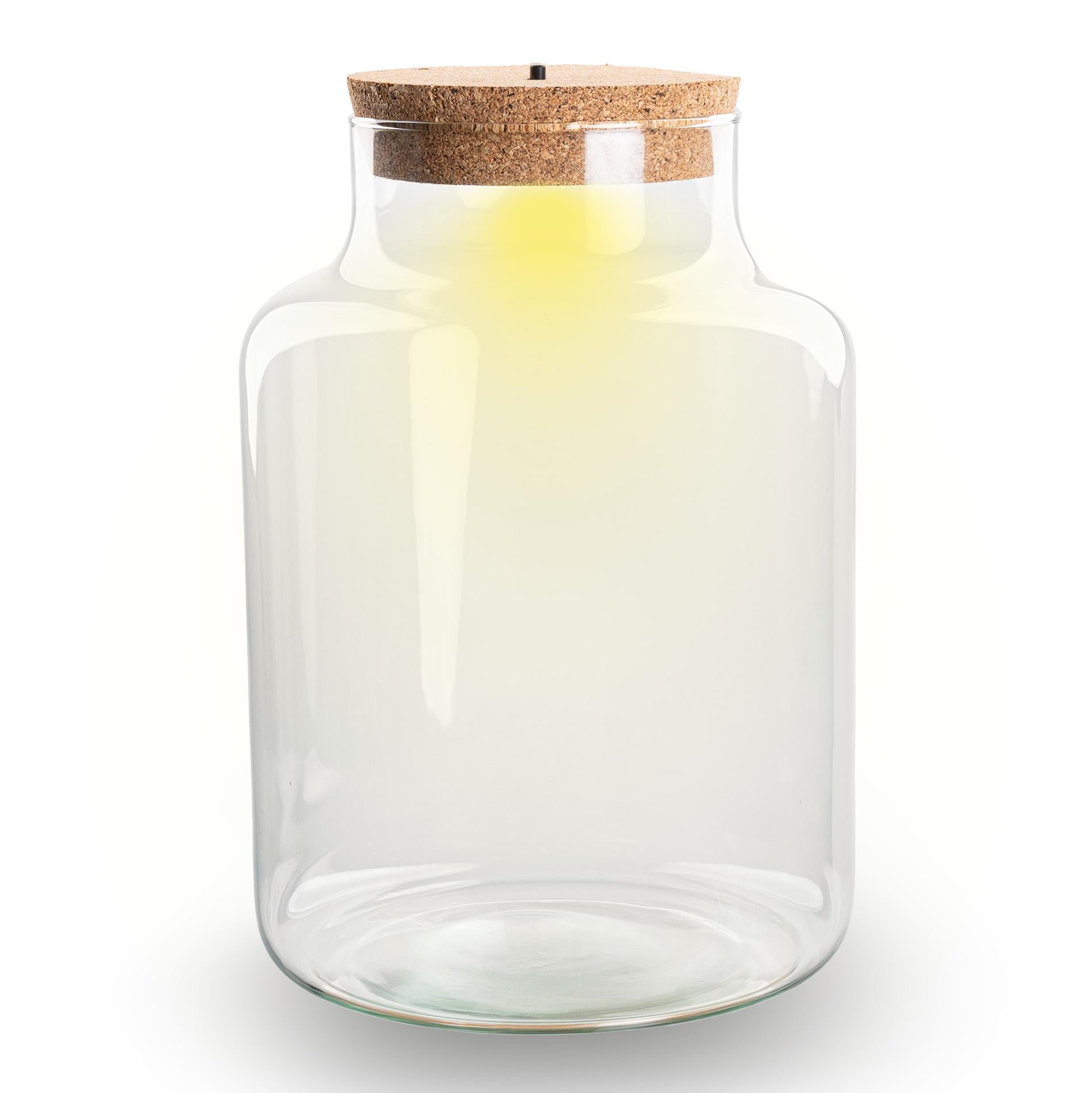 Terrarium fles met kurk - Little Milky met led kurk - Gesloten groot terrarium ↑ 24.5 cm - Botanic-Vibes