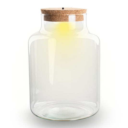 Terrarium fles met kurk - Little Milky met led kurk - Gesloten groot terrarium ↑ 24.5 cm - Botanic-Vibes
