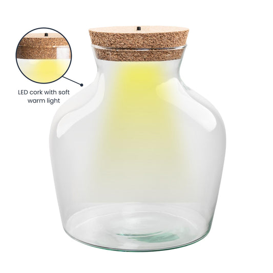 Terrarium fles met LED-verlichting - Gesloten terrarium - Little Joe - ↑ 22 cm - Ø 20 cm - Botanic-Vibes