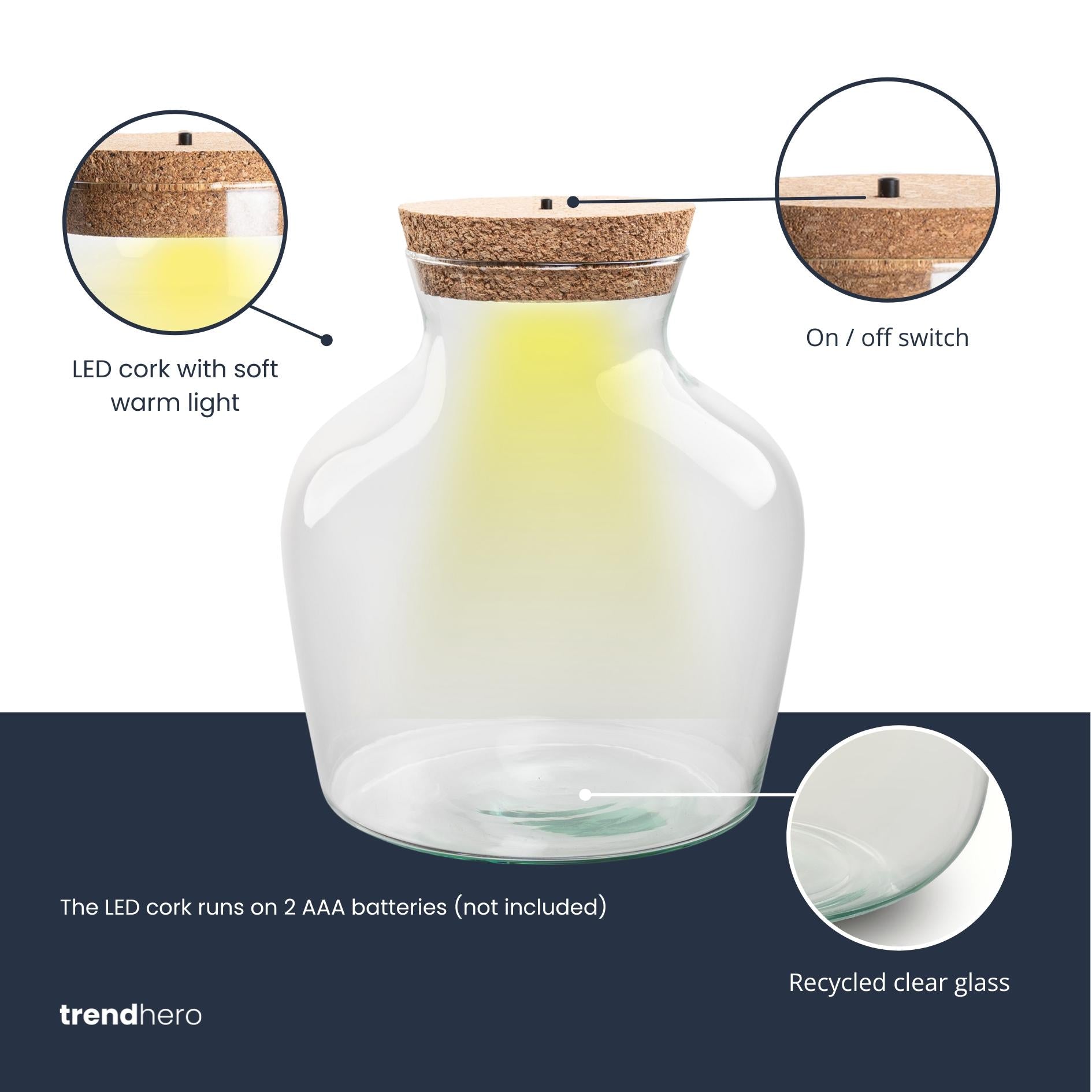 Terrarium fles met LED-verlichting - Gesloten terrarium - Little Joe - ↑ 22 cm - Ø 20 cm - Botanic-Vibes