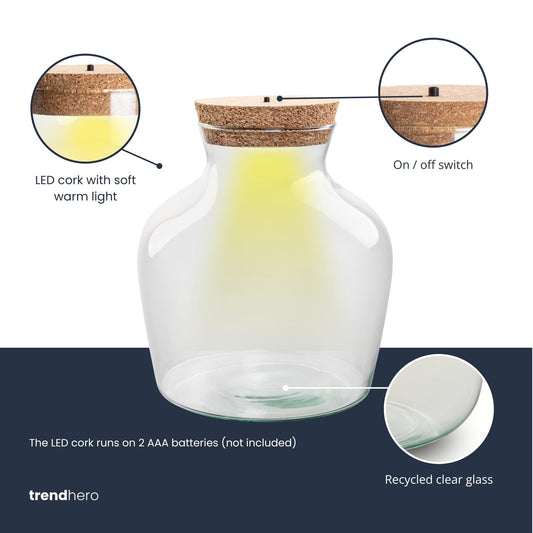 Terrarium fles met LED-verlichting - Gesloten terrarium - Little Joe - ↑ 22 cm - Ø 20 cm - Botanic-Vibes