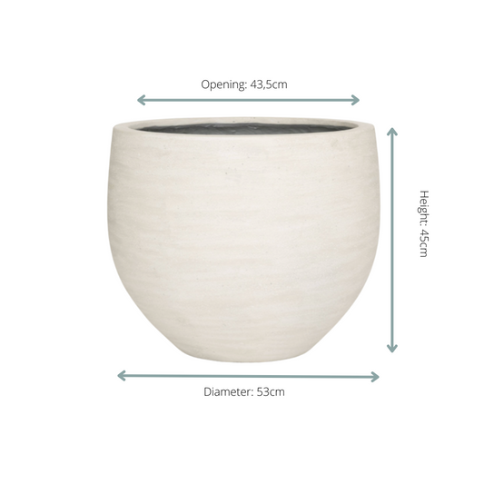Jumbo Orb Ivory Washed - D53xH45 - Botanic-Vibes