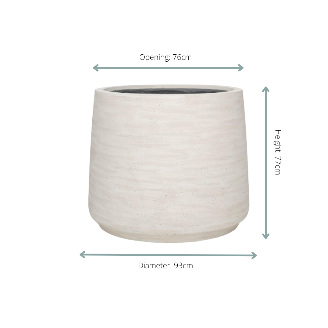 Jumbo Patt Ivory Washed - D93xH77 - Botanic-Vibes