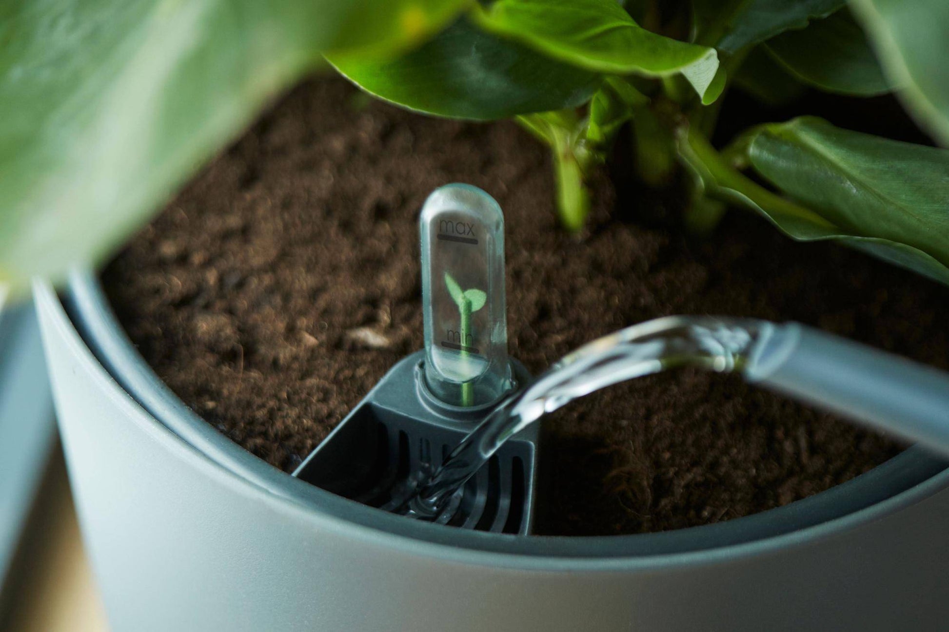 Wasserspeicher-Einsatz – 17 cm - Botanic-Vibes