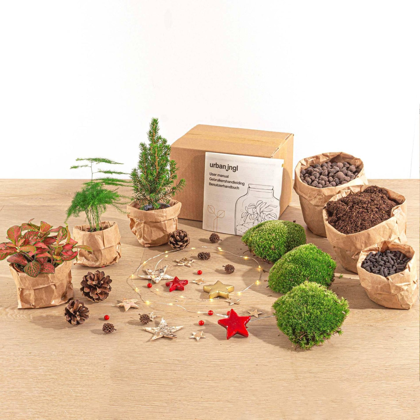 Terrarium-Set – Mini-Weihnachtsbaum – 3 Pflanzen – Nachfüllung & Starterset – DIY Weihnachten - Botanic-Vibes