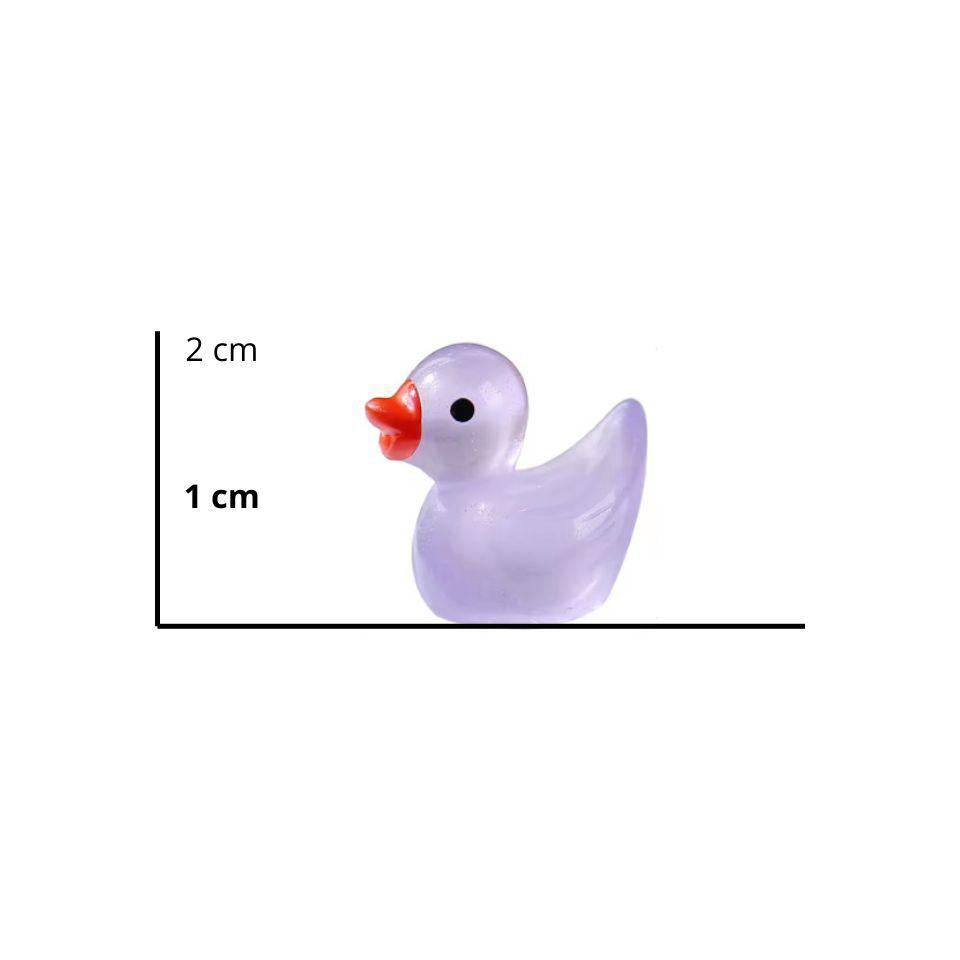Leuchtend im Dunkeln – Enten – bunt – Höhe 2 cm – 7 Stück - Botanic-Vibes