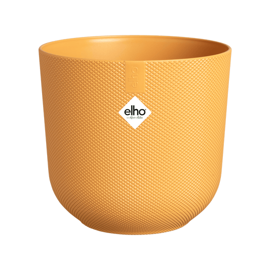 Topf elho Jazz Round Bernstein-Gelb – D23 × H21 - Botanic-Vibes