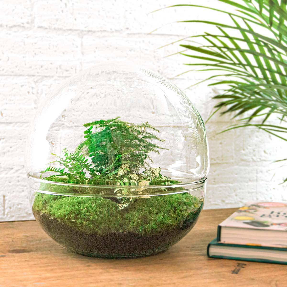 Flaschengarten – Dome XL – 30 cm – Rechen + Schaufel - Botanic-Vibes