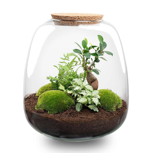 Pflanzterrarium „Emma“ – DIY-Set – 25 cm – Ø23 cm – Bonsai White + LED - Botanic-Vibes
