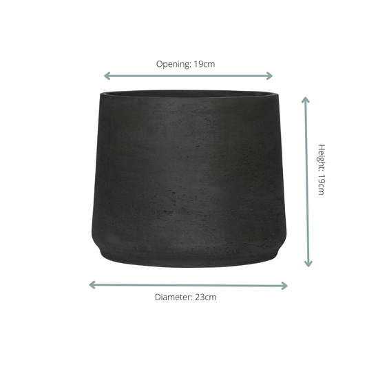 Jumbo Patt Black Washed - D23 x H19 - Botanic-Vibes