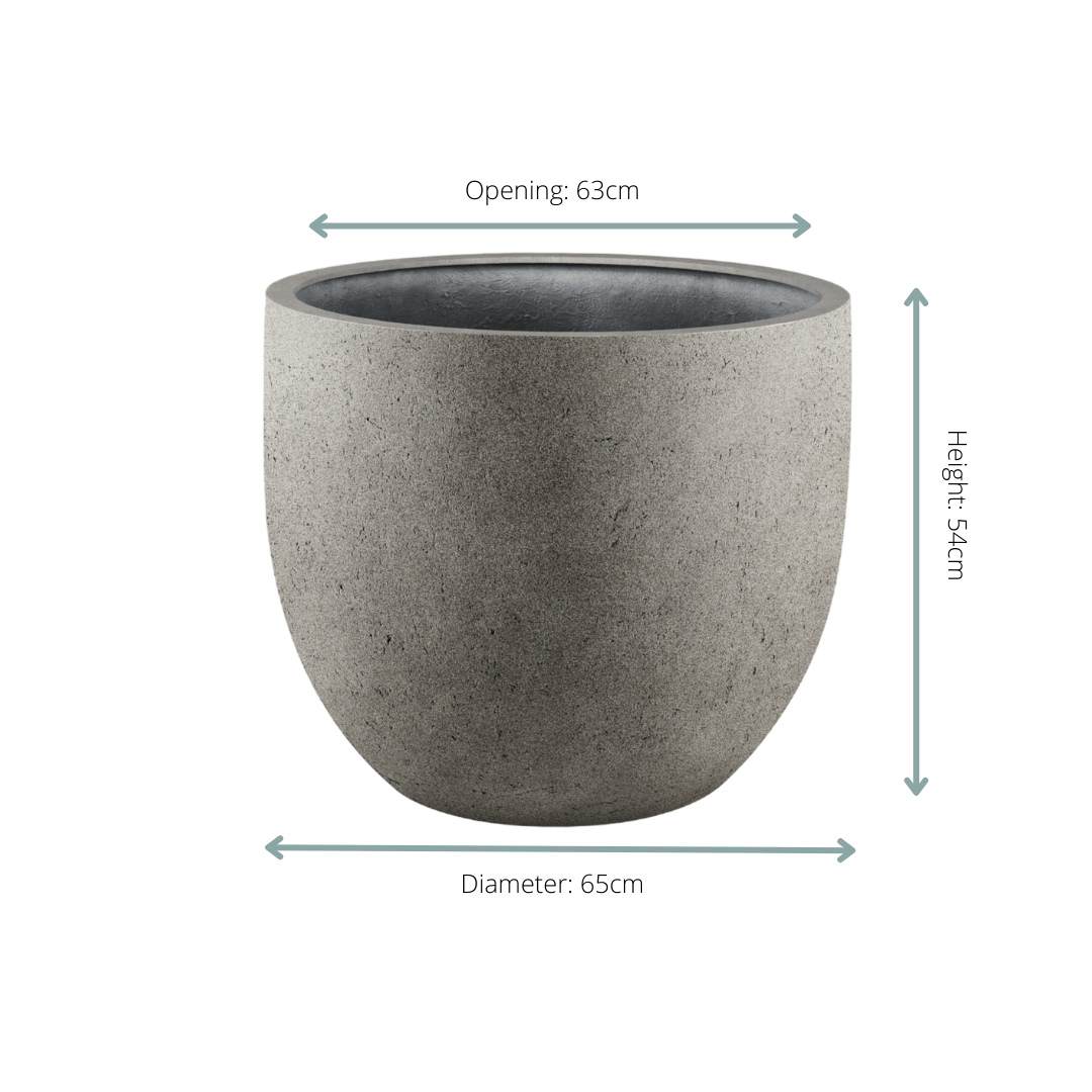 Topf Grigio New Egg Natural Concrete – D65 × H54 - Botanic-Vibes