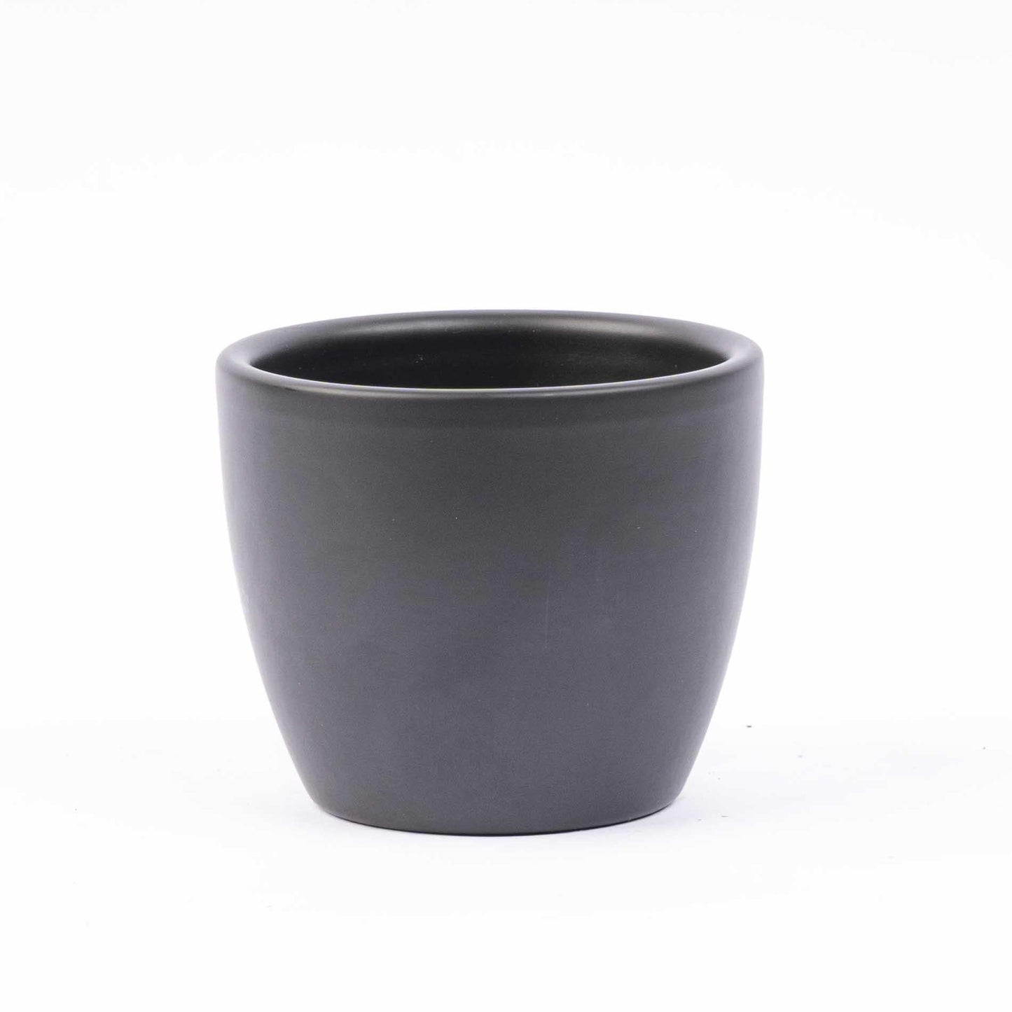 Mini-Weihnachtsbaum Set 3 – inkl. Boule-Anthrazit-Topf + 20 LED-Lichter - Botanic-Vibes