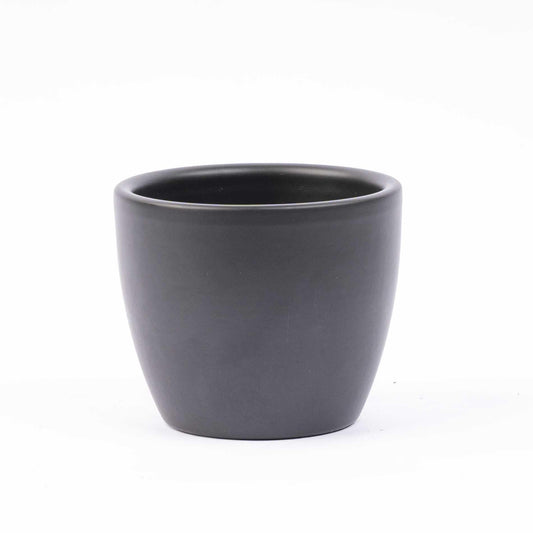 Mini-Weihnachtsbaum Set 3 – inkl. Boule-Anthrazit-Topf + 20 LED-Lichter - Botanic-Vibes