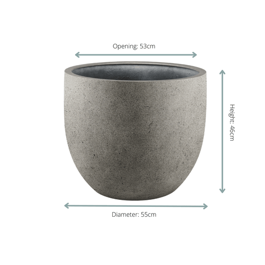Topf Grigio New Egg Natural Concrete – D55 × H46 - Botanic-Vibes