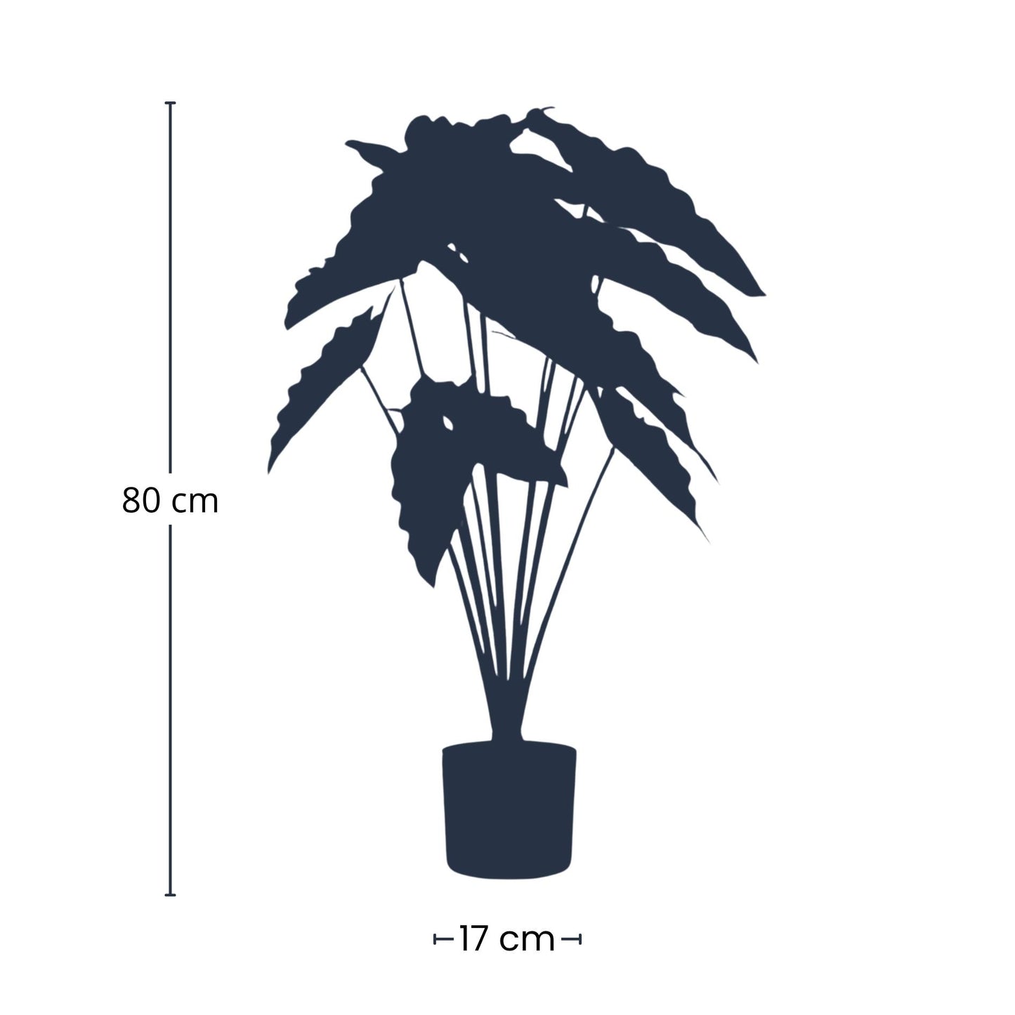 Alocasia – 80 cm – Kunstpflanze
