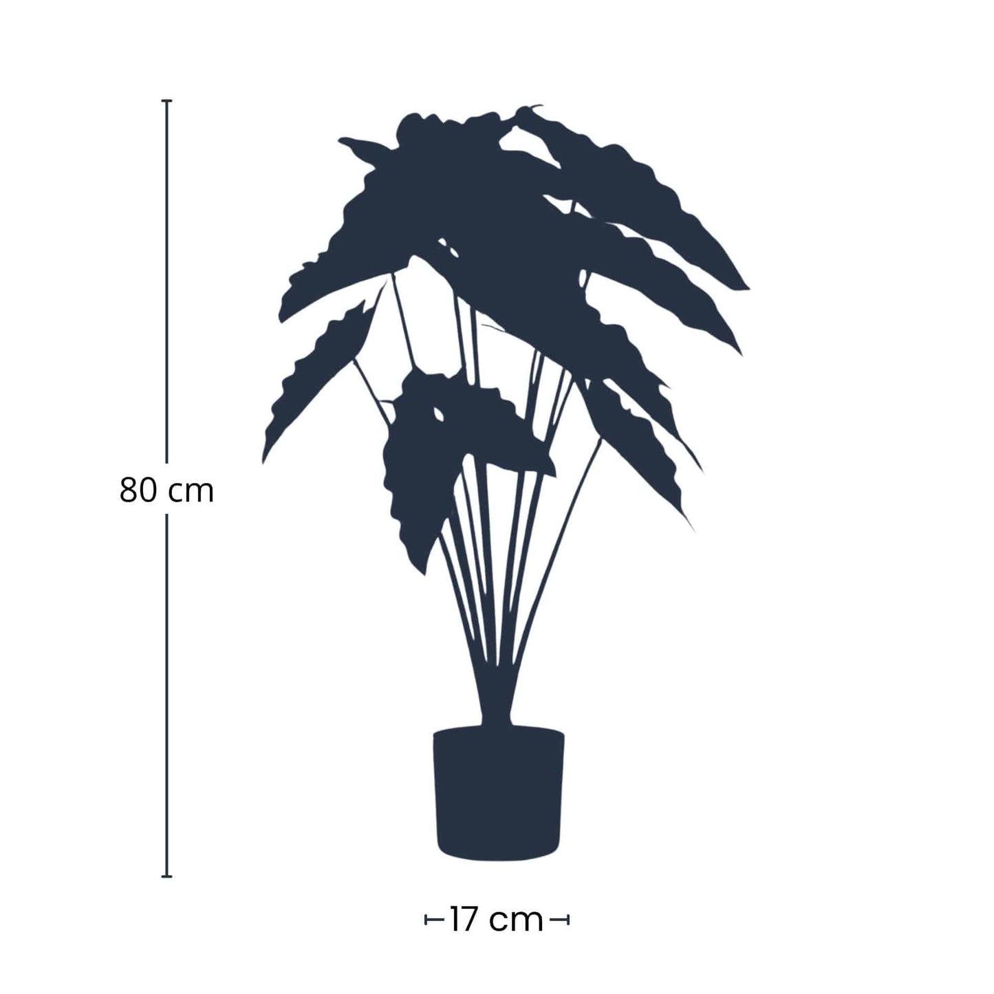 Alocasia – 80 cm – Kunstpflanze - Botanic-Vibes