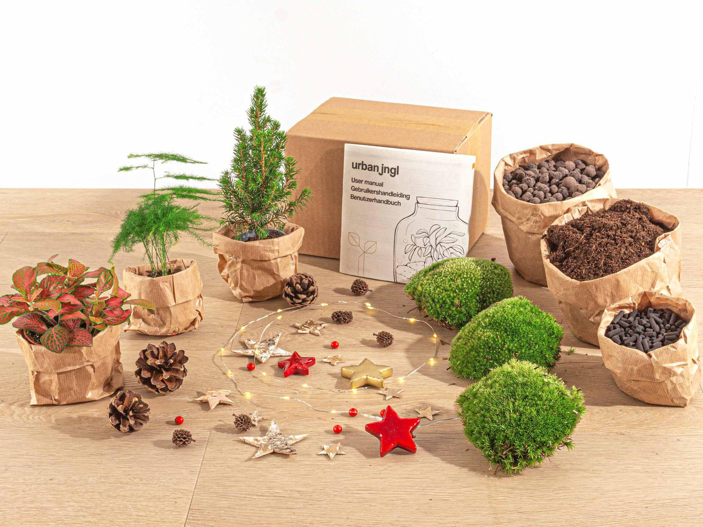 Terrarium-Set – Mini-Weihnachtsbaum – 3 Pflanzen – Nachfüllung & Starterset – DIY Weihnachten