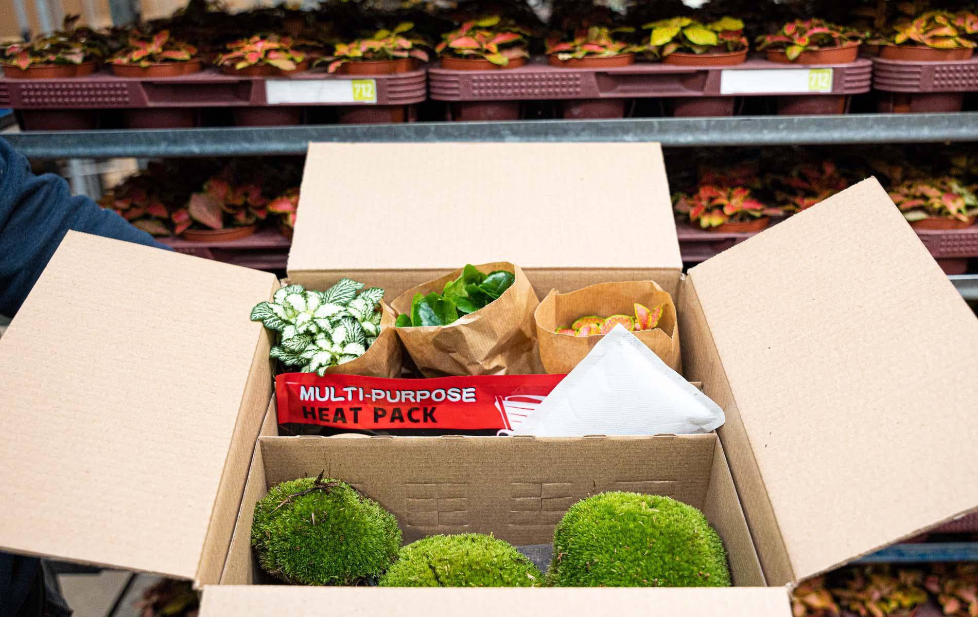 Wärmepack XL – 72 Stunden - Botanic-Vibes