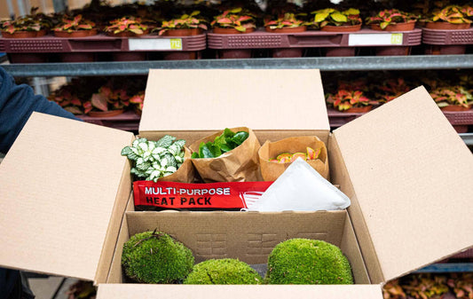 Wärmepack XL – 72 Stunden - Botanic-Vibes