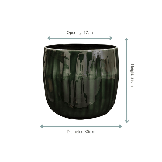Pot Babet Pine D30 x H27 - Botanic-Vibes