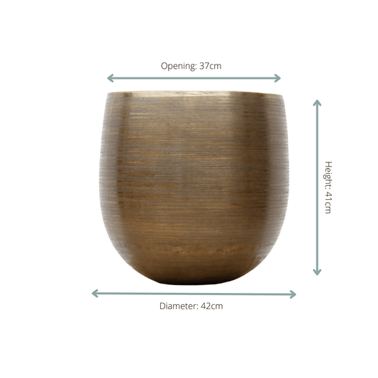 Rowen gold - 42x41 - Botanic-Vibes