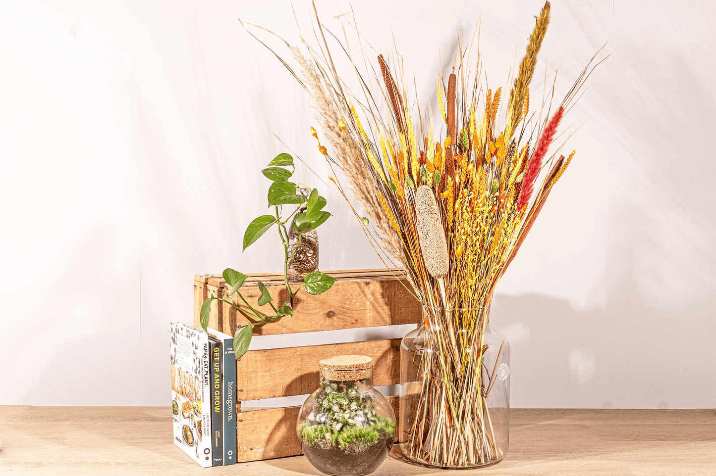 Trockenblumenstrauß – Orange XL – Trockenstrauß – 70 cm - Botanic-Vibes