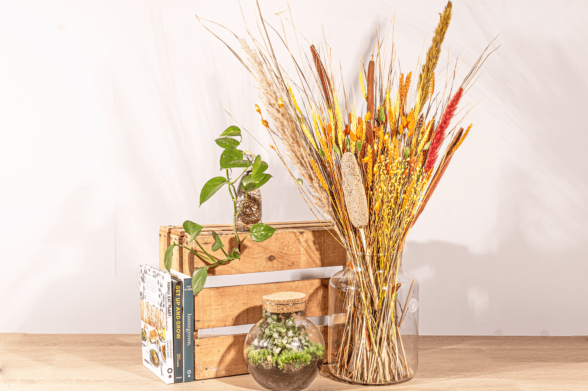 Trockenblumenstrauß – Orange XL – Trockenstrauß – 70 cm - Botanic-Vibes