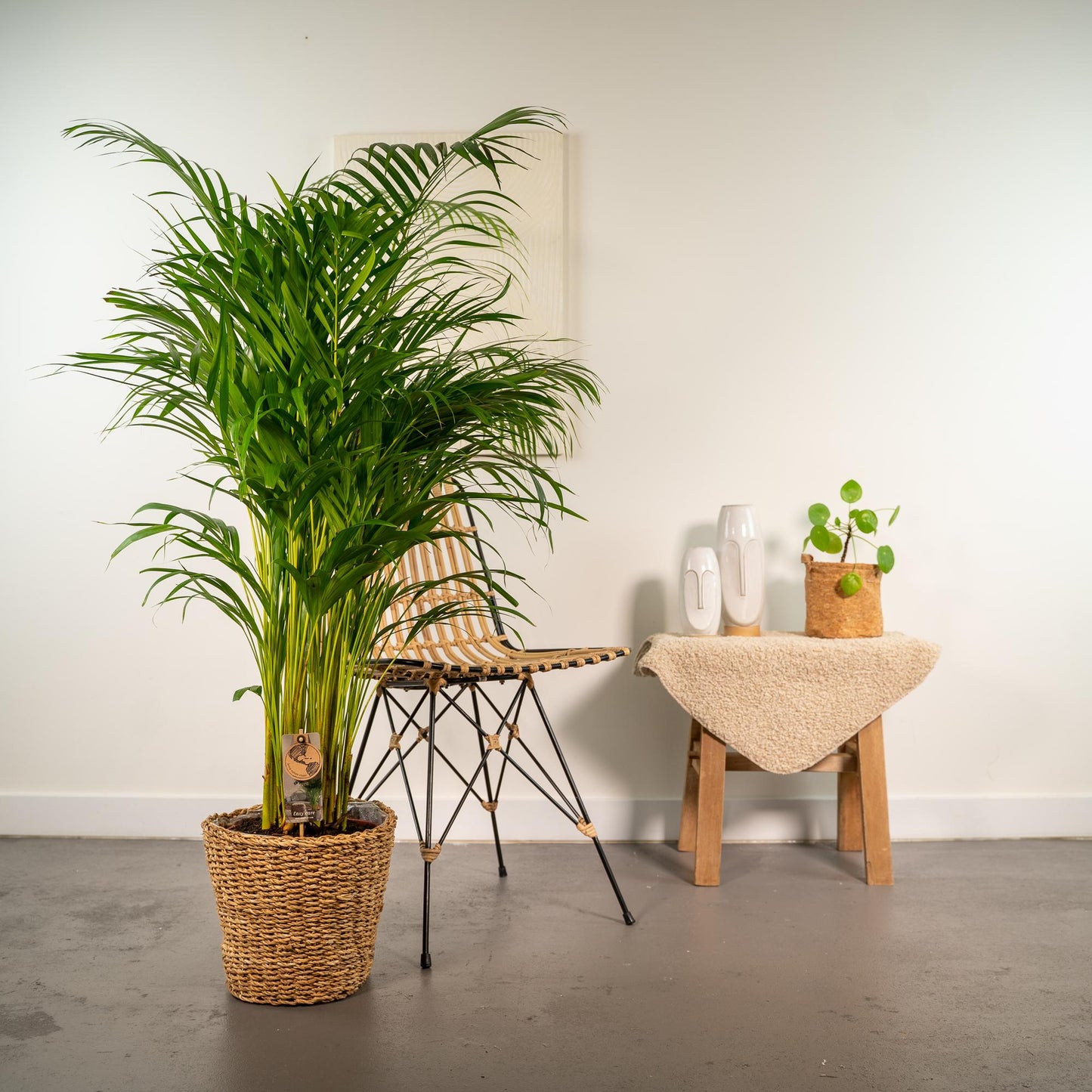 Areca mit Korb – 130 cm – Ø24