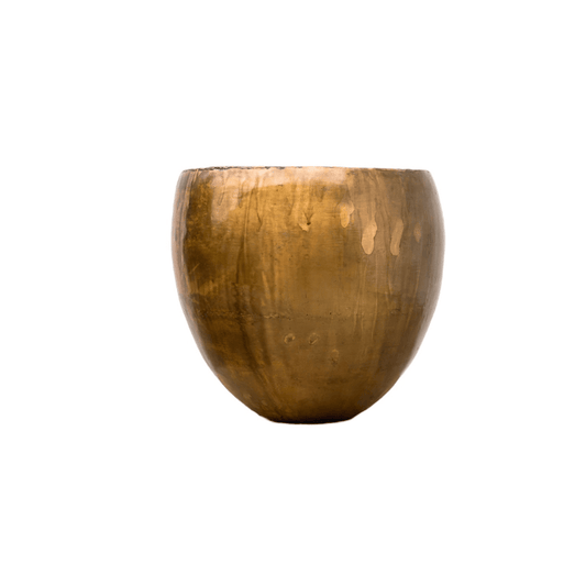 Topf Fabien Old Camel - Botanic-Vibes