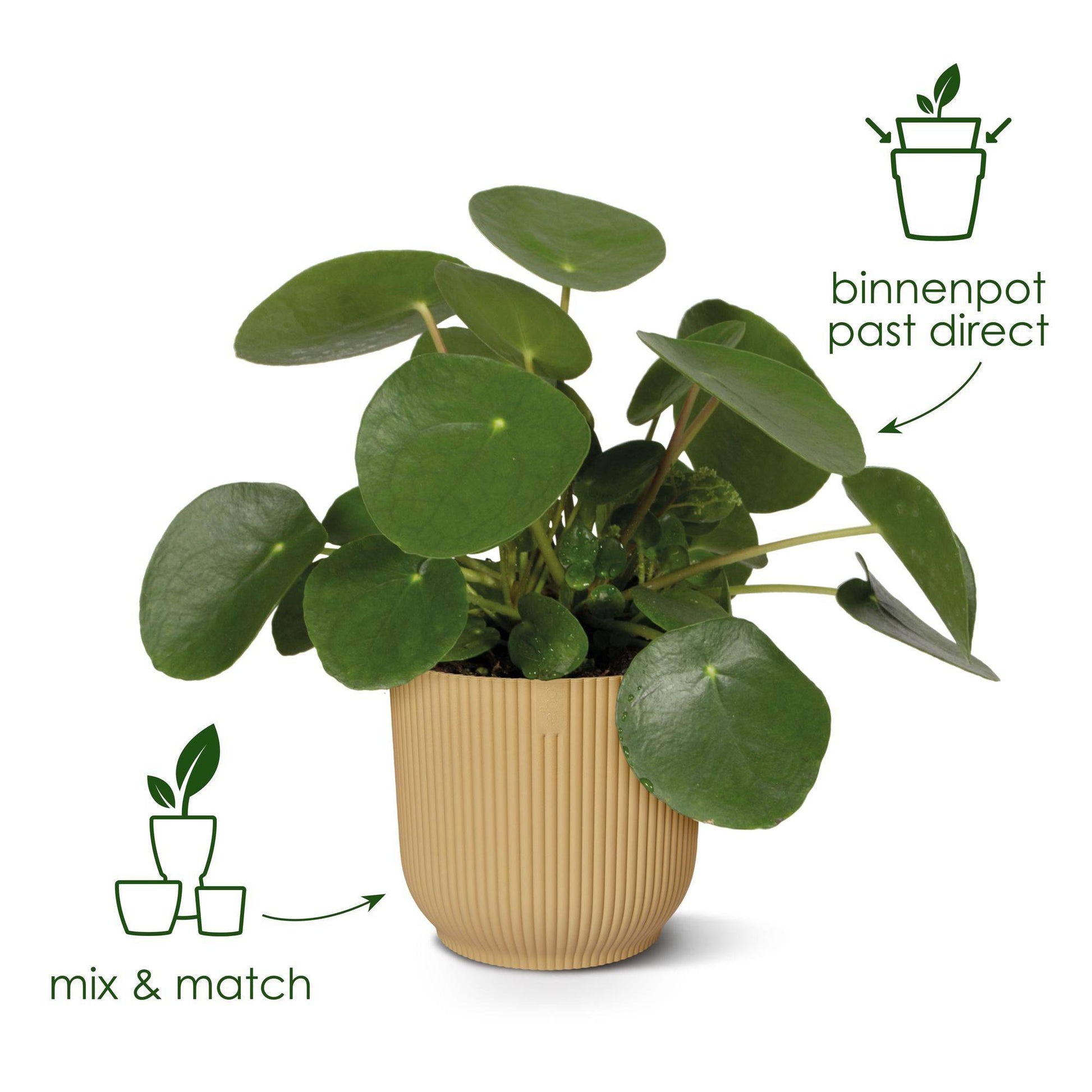 Topf elho Vibes Fold Round Grün – D18 × H17 - Botanic-Vibes