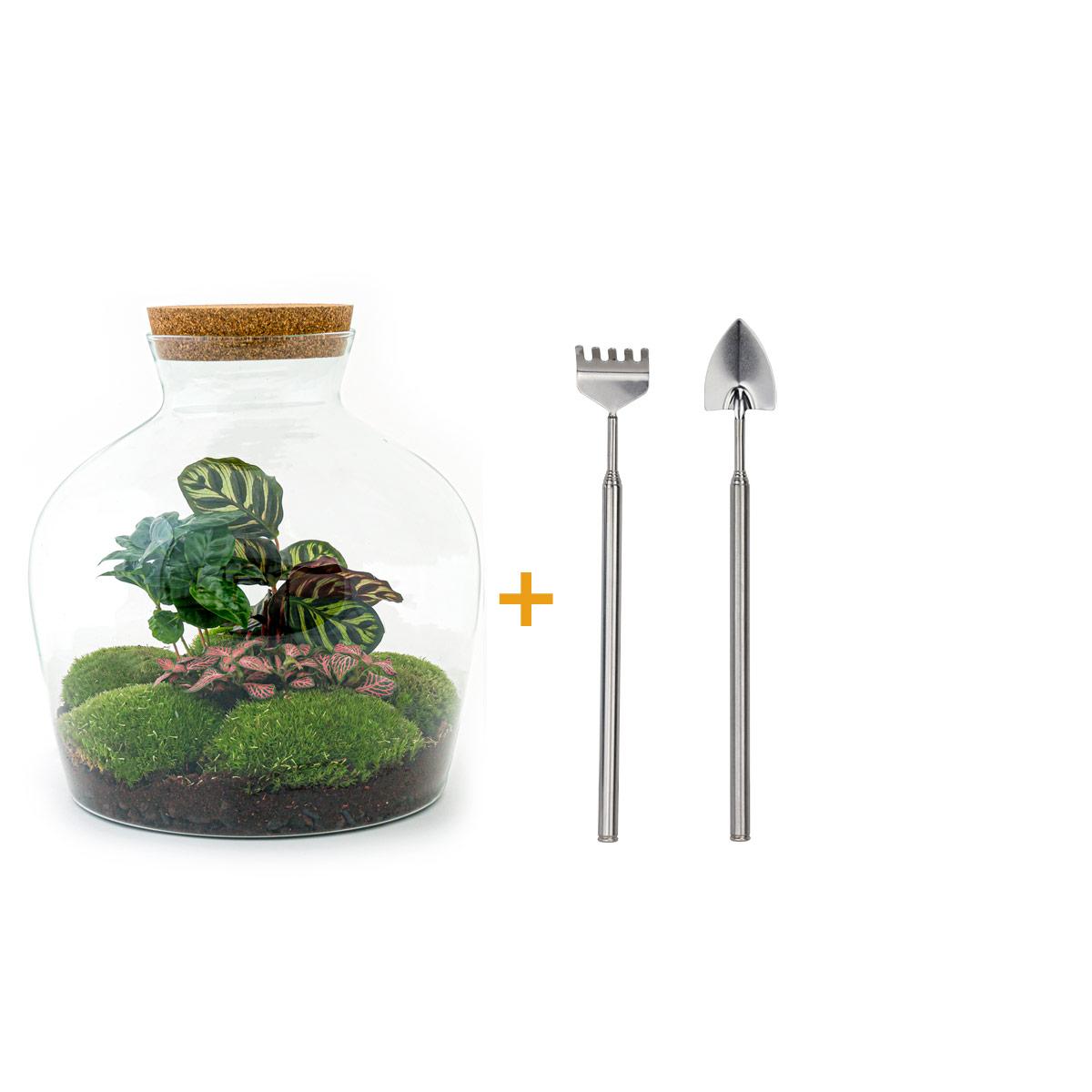 Flaschengarten – Fat Joe Coffea – 30 cm – Rechen + Schaufel
