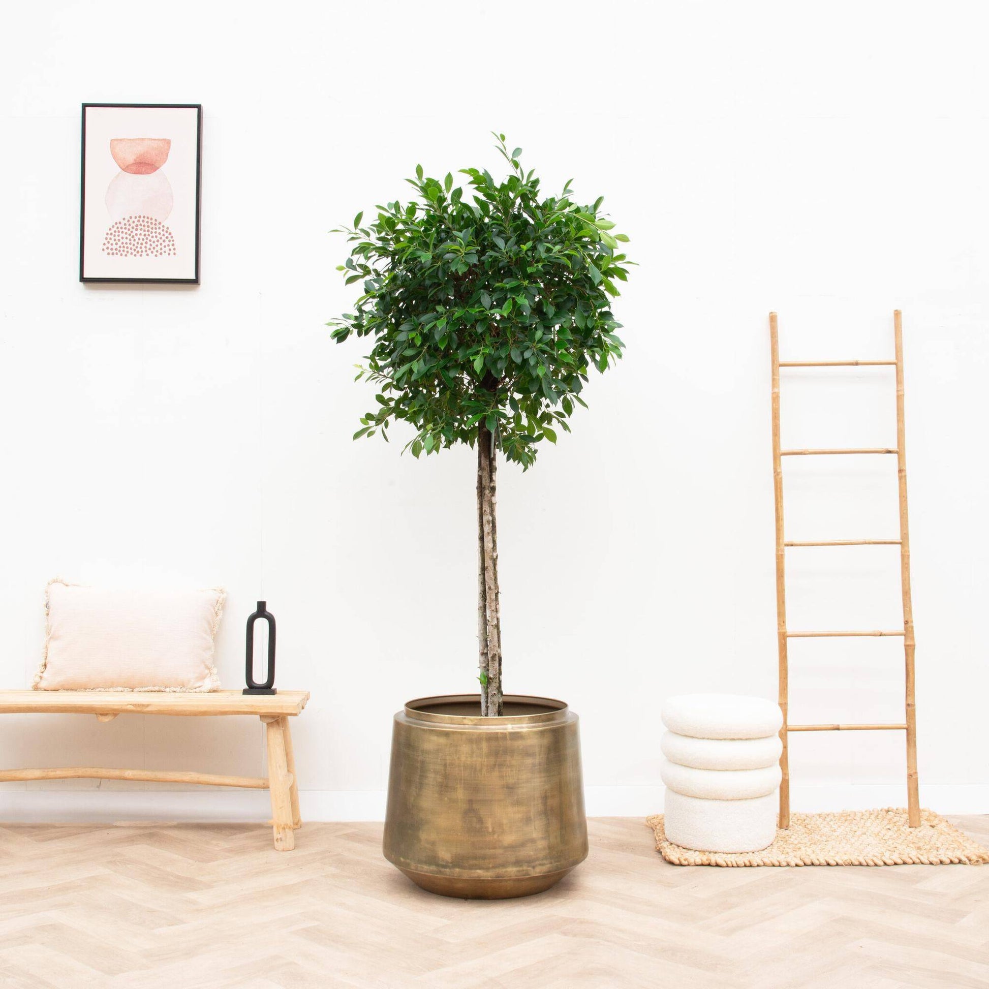 Topf Indigo Vintage Gold – D33 × H31 - Botanic-Vibes