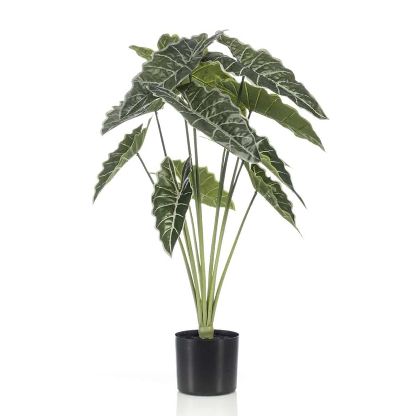 Alocasia – 80 cm – Kunstpflanze - Botanic-Vibes