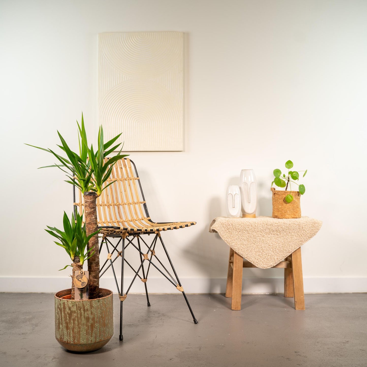 Yucca mit Topf – 100cm – Ø21cm