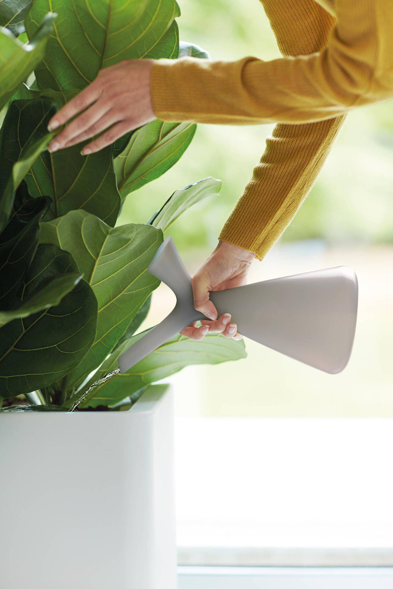 Gießkanne Plunge – 1,7 l – Weiß - Botanic-Vibes