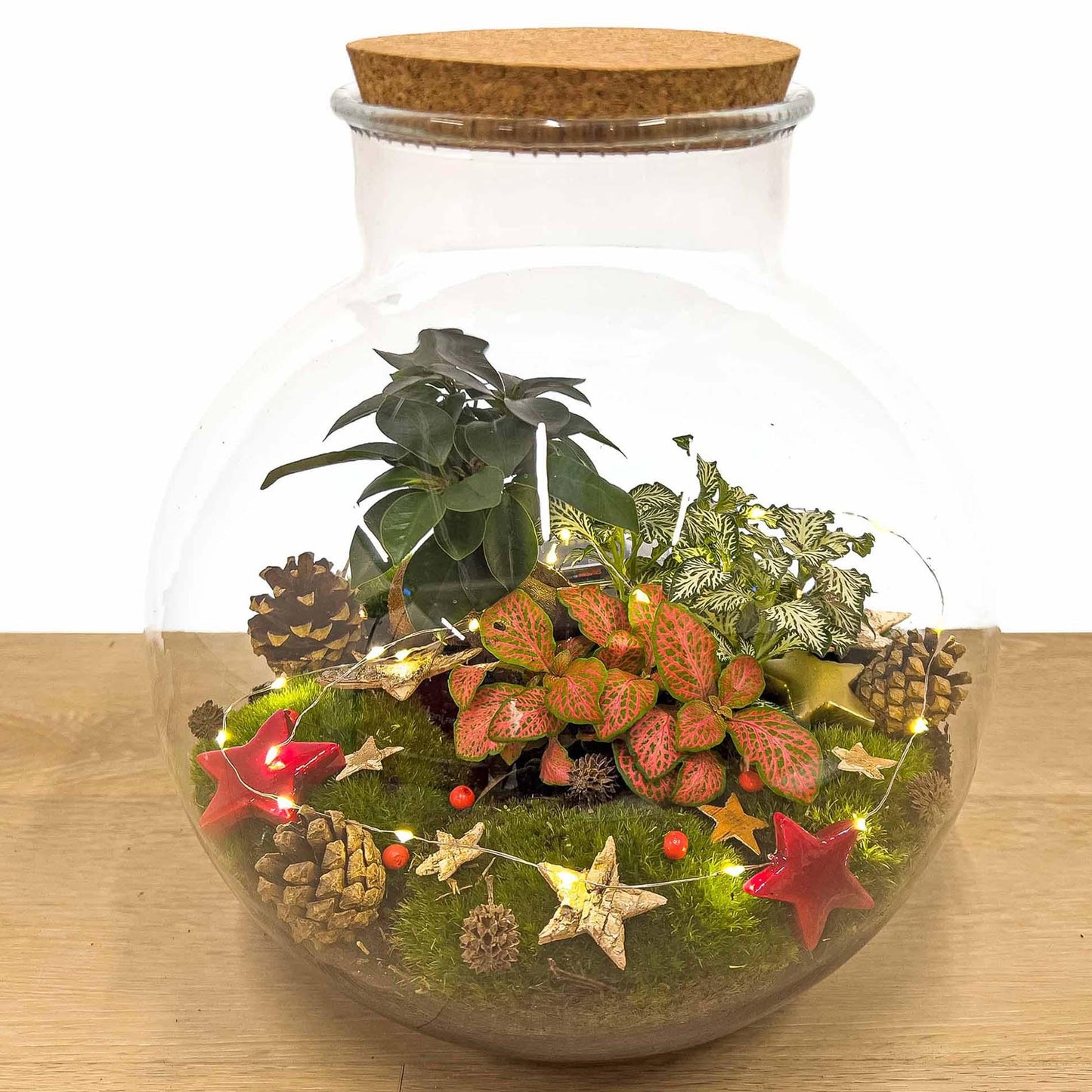 Weihnachts-Terrarium-Deko-Set